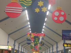 -班达拉奈克国际机场