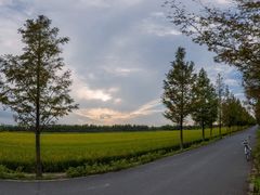 -嘉北郊野公园