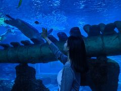 -西安曲江海洋极地公园