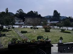 -马村鱼头
