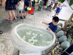 -100蛋泥浆浴