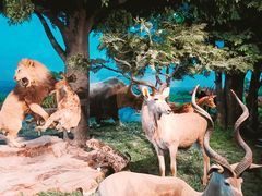 -国家自然博物馆