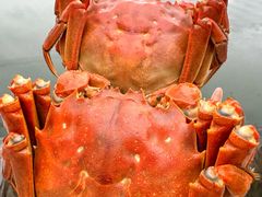 -品鲜村农家菜·阳澄湖大闸蟹(总店)