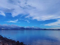 -深圳湾公园(南山区)