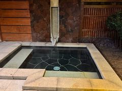 -东海森林温泉度假酒店