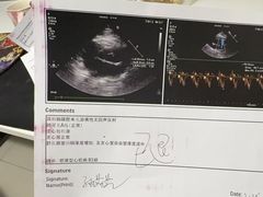 -美联众合动物医院·24h转诊中心