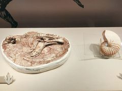 -台州博物馆