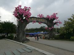 -天适樱花悠乐园