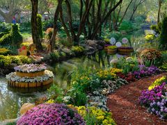 -上海共青森林公园