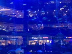 -成都浩海立方海洋公园