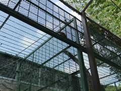 -泉州海丝野生动物世界