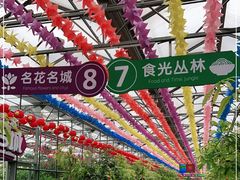 -南宫五洲植物乐园