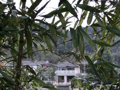 -明月山天沐温泉度假村