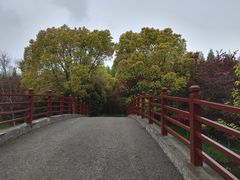 -东平国家森林公园