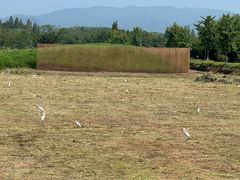 -良渚古城遗址公园