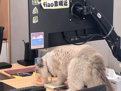 -上海浦东smart汽车全功能店(金桥店)