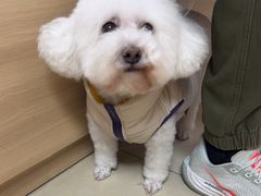 -宠福鑫康馨动物医院·骨科·眼科