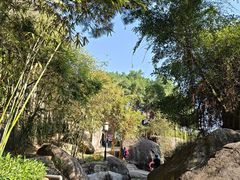 -鸿山公园