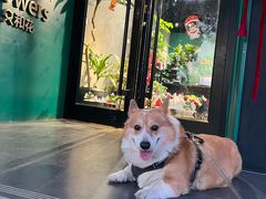 -METAL HANDS(五道营店)