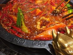 -蜀大侠火锅(建设路第五大道店)