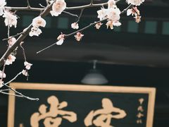 -长春观