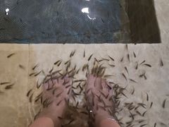 -中家鑫园温泉酒店鑫悦汤泉