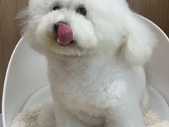 -佐罗家宠物馆·猫文化馆(紫霞路店)