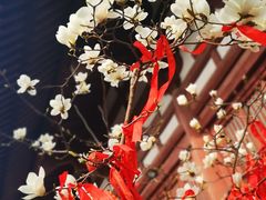 -西安青龙寺遗址景区