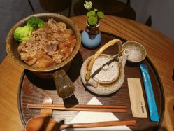 -玛莲朵·海菲秀冰珀科
