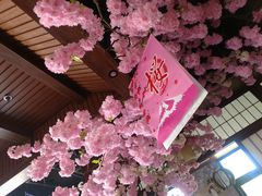 -尺山寸水日料(马桥满天星店)
