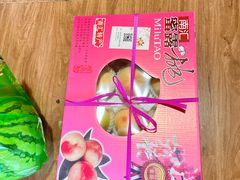 -南汇新场正宗水蜜桃采摘