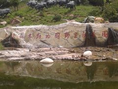 -大连森林动物园