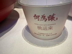 -大鸭梨烤鸭(顺义石园店)