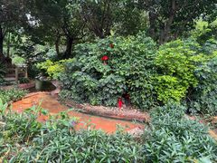 -广州长隆飞鸟乐园