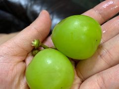 -油麻地果栏