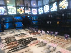 -莆鑫海鲜城(浏河店)