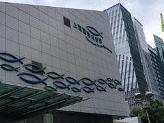 -上海海洋水族馆