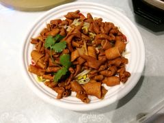 -鹅城