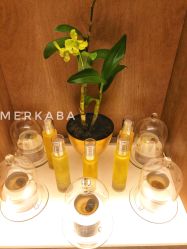 -文华东方水疗中心