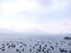 -枸杞岛