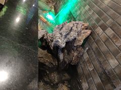 -雷山鱼酱酸汤鱼·酸汤牛肉(花果园T1区店)