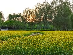 -北坞公园