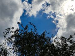 -长春公园(普阳街道)