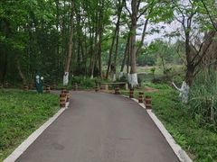 -桤木河湿地公园