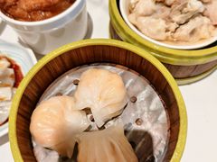 -东方早茶 海鲜•青岛菜(国信体育中心店)