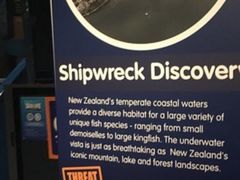-凯莉-塔尔敦海洋生物水族馆