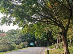 -深圳国际园林花卉博览园