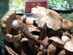 -朱家小厨(红塔西路店)