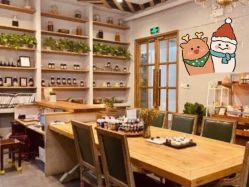 -芳香乐府疗愈空间·SPA·冥想