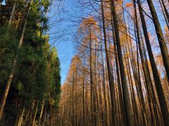 -山王坪喀斯特国家生态公园